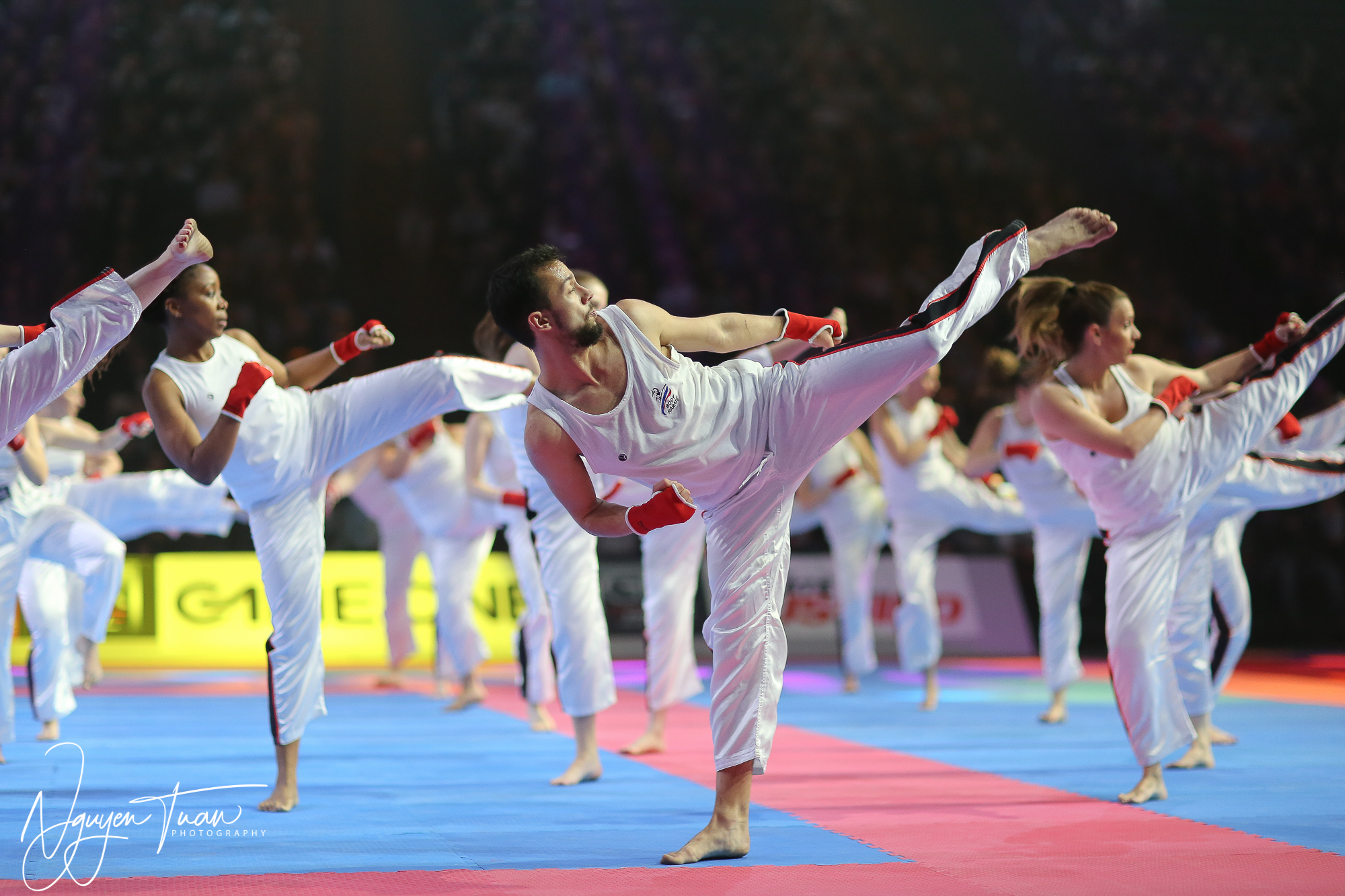 20190324 Festival des Arts Martiaux 2084